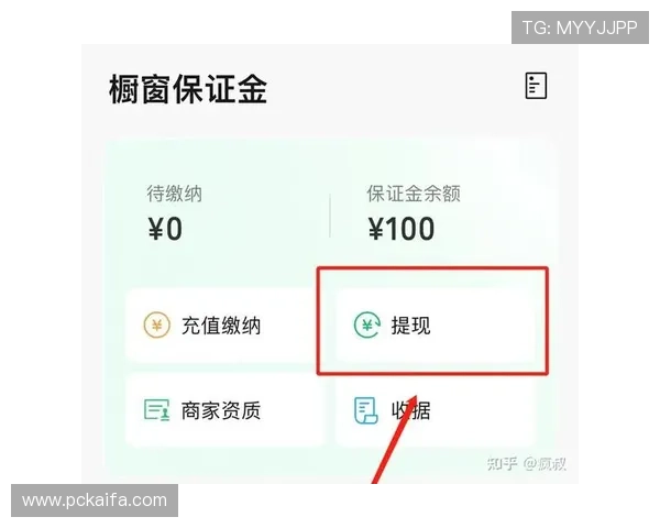 分析凯发电子竞技官网的支付方式与提现流程，确保玩家资金安全与便捷操作