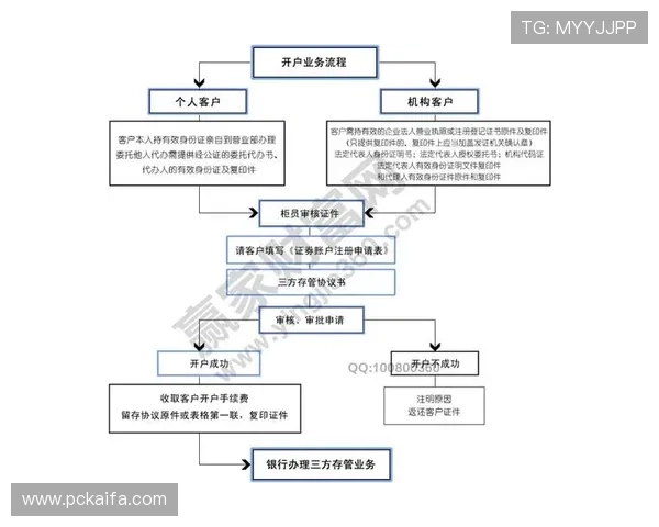 凯发开户技巧详解让新手快速入门，详细介绍开户流程中的关键环节与常见问题解决方案