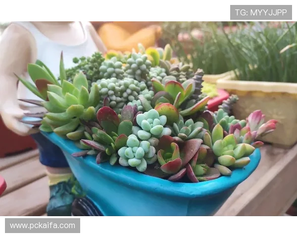 掌握真人ag视讯怎么玩，最新玩法技巧与实用操作流程全解析