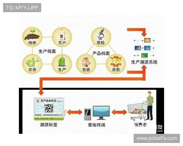 od真人官方网站安全支付方式介绍,保障每一笔交易的安全与便捷 od真人官方网站安全支付方式介绍,保障每一笔交易的安全与便捷