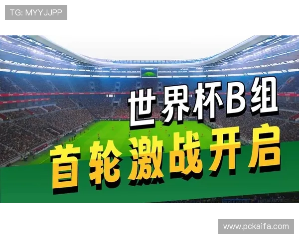 世界杯加拿大对阵波黑的技战术分析与比赛前瞻全面解析