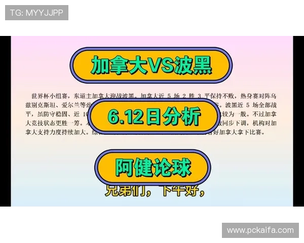 加拿大VS波黑比赛历史比分统计及双方战术分析与总结